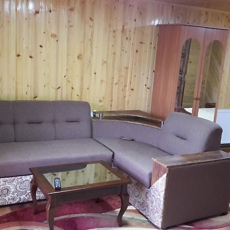U Romana Yaremche Ngoại thất bức ảnh